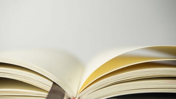 ifempower has finalized the interview series for the project’s initial research study